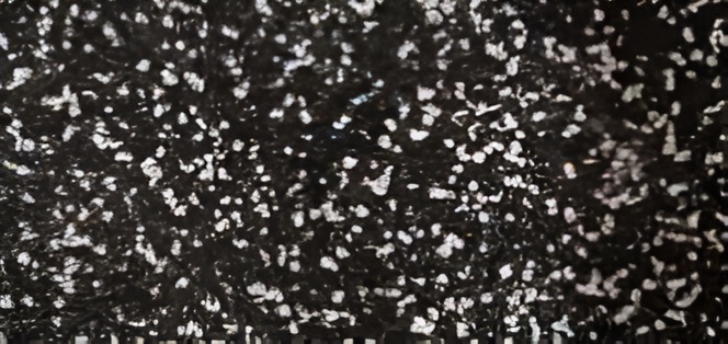 rd-18
